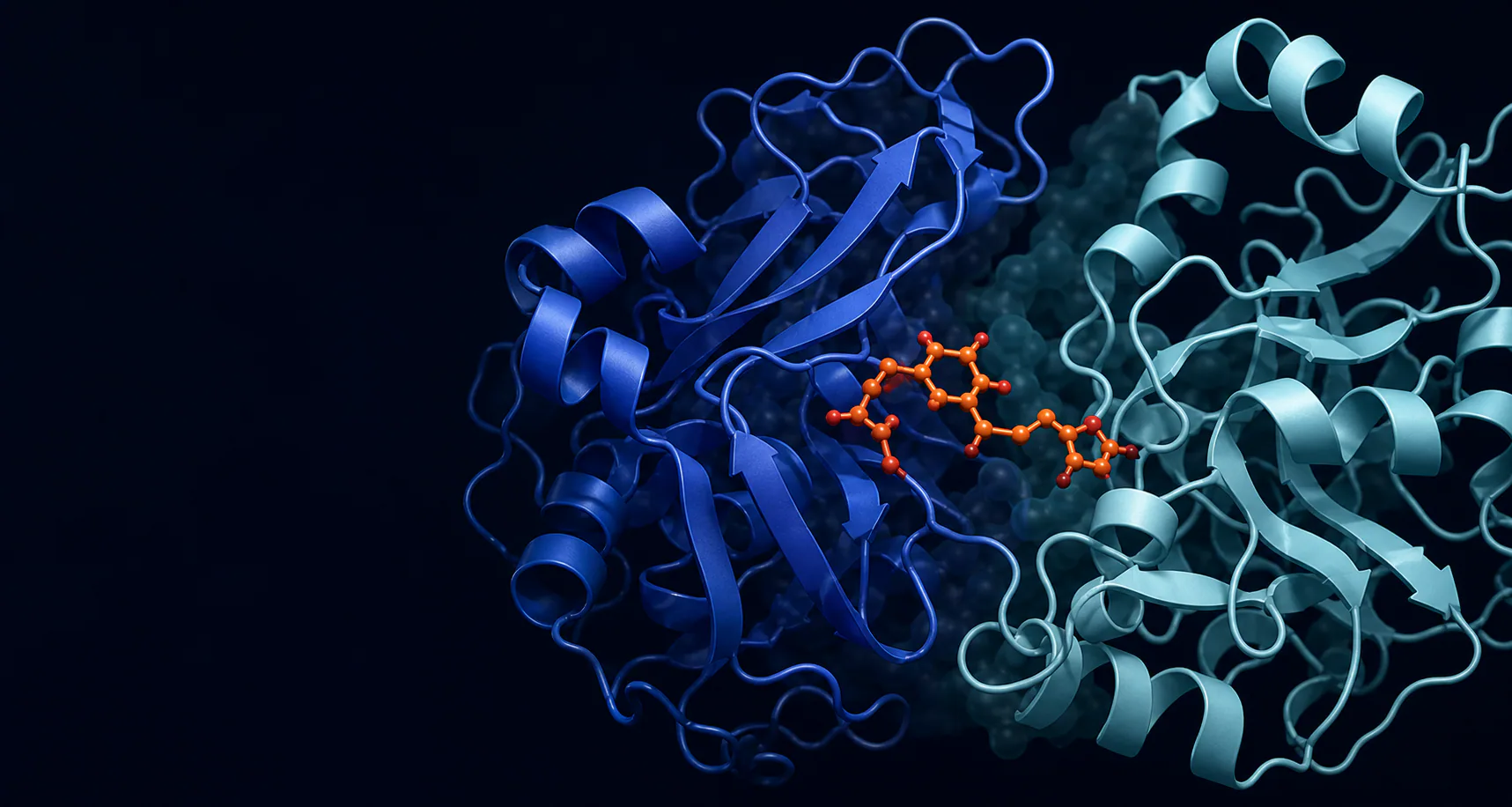 E3 ligase ternary complex connected by a small molecule