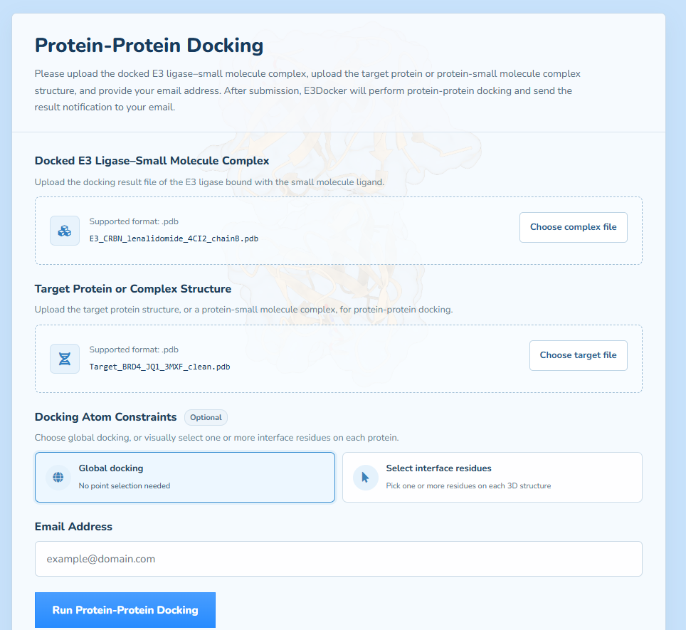 Protein-protein docking form with global and interface-residue constraint modes
