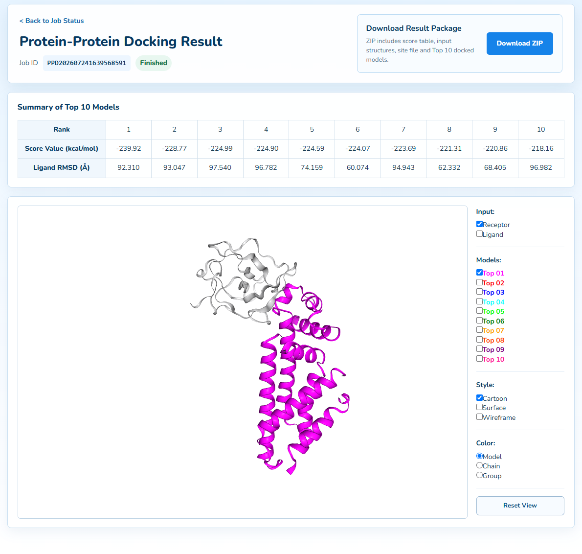 Protein-protein docking result visualization